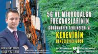 5G ve mikrodalga frekanslarının görünmeyen tehlikeleri ve kenevirin dengeleyici gücü