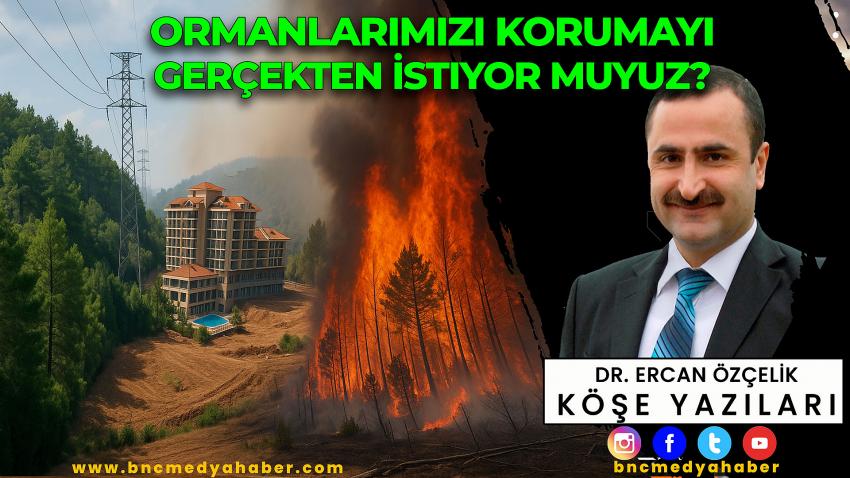 Ormanlarımızı Korumayı Gerçekten İstiyor muyuz?