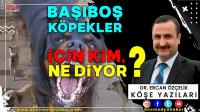 Başıboş Köpekler İçin Kim, Ne Diyor?