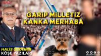 Garip Milletiz Kanka Merhaba