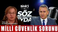 Sokak Hayvanlarının Popülasyonu Milli Güvenlik Sorunu mu Oluyor?